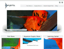 Tablet Screenshot of angelsplus.com